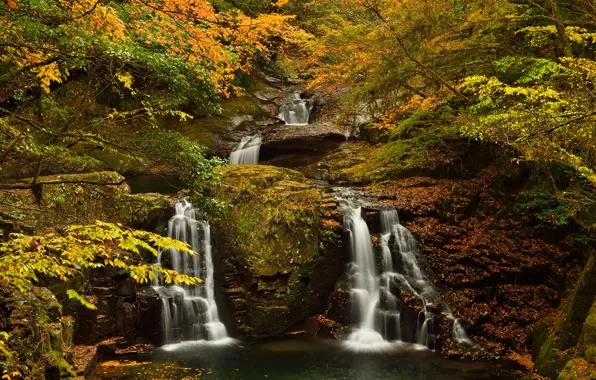 Картинка осень, лес, деревья, пруд, камень, водопад