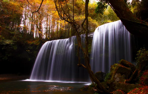 Картинка осень, деревья, природа, река, водопад