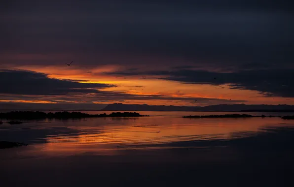Картинка небо, закат, птицы, оранжевый, тучи, океан, берег, вечер, залив, Исландия