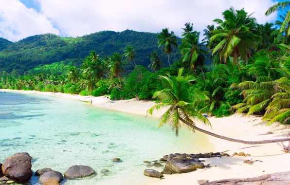 Картинка песок, море, пляж, облака, пейзаж, тропики, пальмы, остров, белые, sea, scenery, sand beach, Island