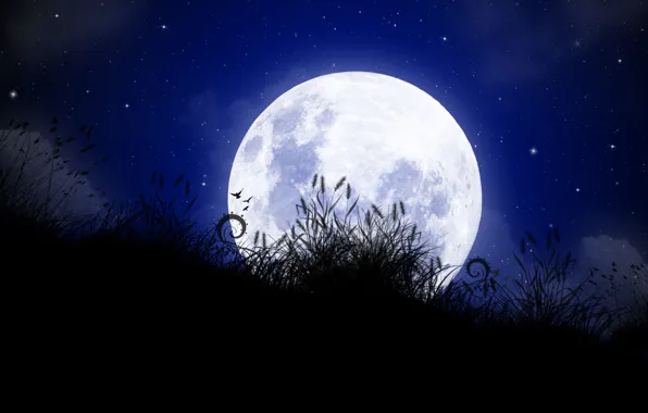 Картинка moon, grass, long, Full