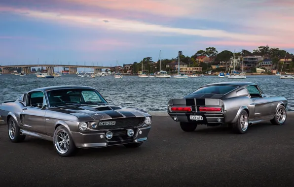Картинка Mustang, Ford, Shelby, GT500, Форд, Мустанг, 1967 "Eleanor"