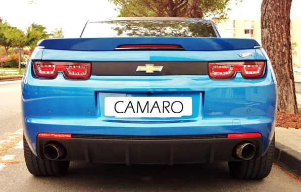 Картинка авто, синий, голубой, зад, Камаро, Шевроле, camaro, auto, Тачка, задок, Chevrolet Camaro, Спорткар, chevrolet Camaro, …