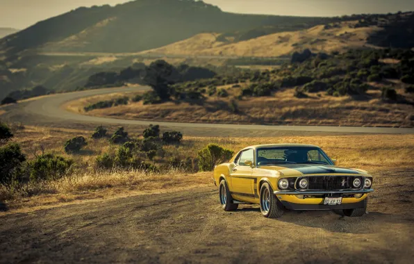 Картинка жёлтый, Mustang, Ford, мустанг, 1969, мускул кар, форд, yellow, muscle car, 302, Boss, '69