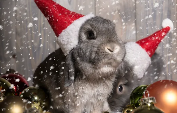 Картинка шарики, украшения, праздник, Новый Год, Рождество, Christmas, New Year, bunny