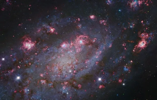 Картинка звезды, свет, nebula, ngc2403, созвездие Жирафа