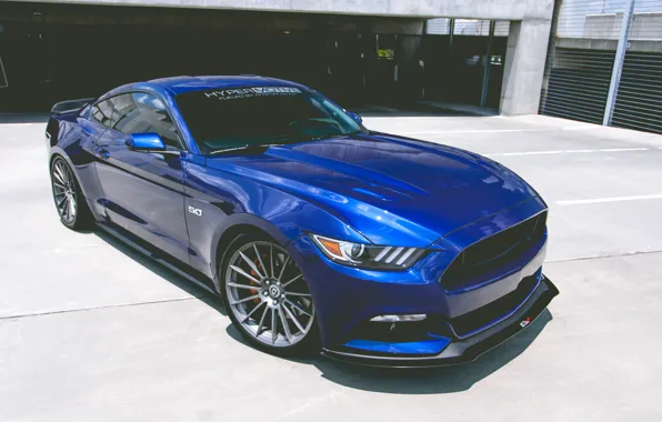 Картинка Mustang, Ford, 5.0, Hyper, Motive