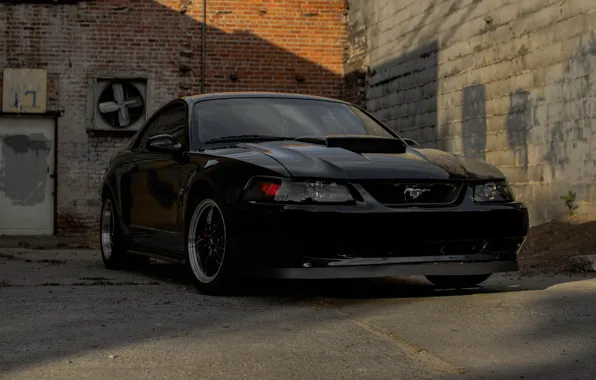 Картинка Mustang, Black, 2004