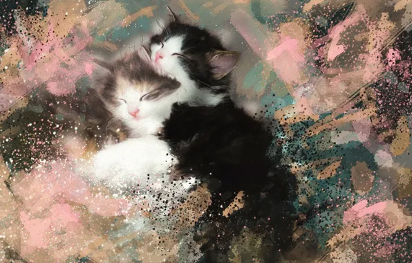 Картинка картина, акварель, котята, пушистые, мазки, спят, черно-белые, обои от lolita777