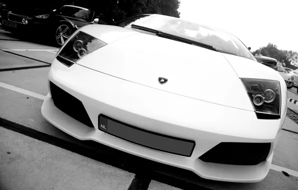 Картинка auto, черно белое фото, Lamborghini murcielago