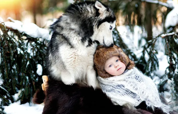 Картинка зима, снег, ребенок, собака, дружба, хаски
