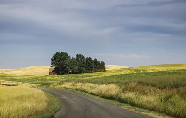Картинка road, cloudy, farmland, countryside scene