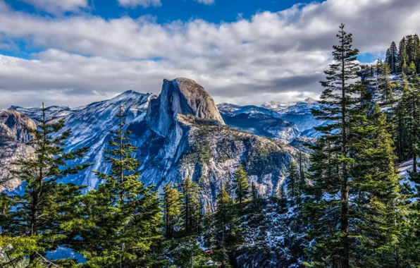 Картинка лес, горы, природа, Национальный парк Йосемити, Yosemite National Park