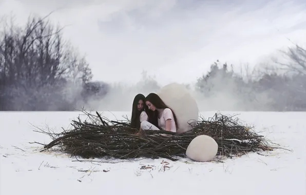 Картинка зима, девушки, гнездо