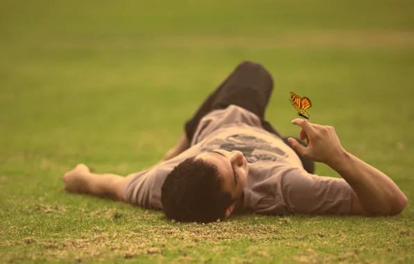 Картинка grass, field, butterfly, man, lying down