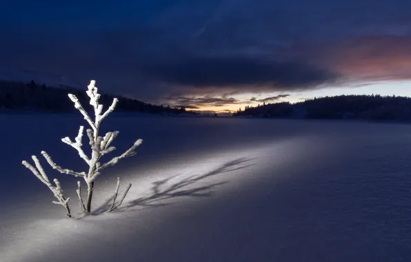 Картинка зима, поле, снег, ночь