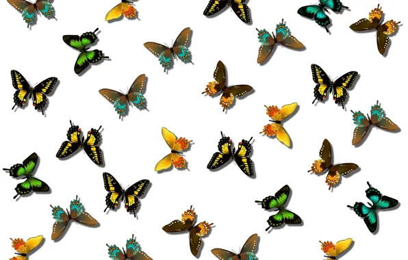 Картинка узор, бабочка, краски, цвет, крылья, мотылек