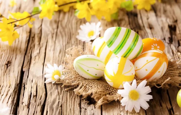 Картинка ромашки, яйца, пасха, wood, flowers, eggs, easter, camomile