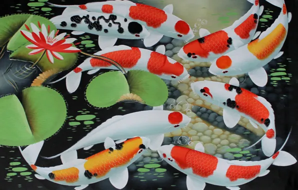 Картинка вода, рыбки, арт, лотос, золотые рыбки, кои, koi fish