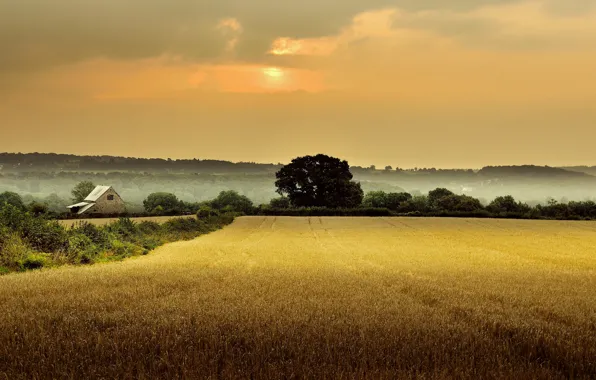 Картинка поле, деревья, туман, дом, рассвет, Англия, утро, Глостершир