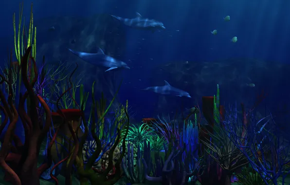 Картинка рыбки, дно, кораллы, дельфины