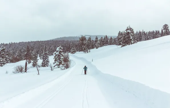 Картинка road, winter, person, ski, pine, skiing, snowing