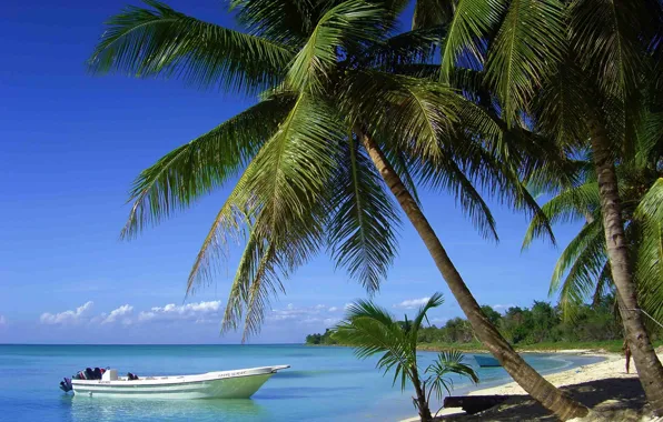 Картинка пляж, пальмы, океан, лодки