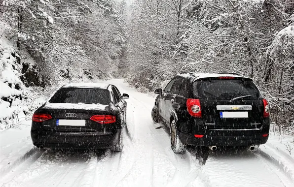 Картинка Audi, chevrolet, winter, snow, bulgaria, captiva