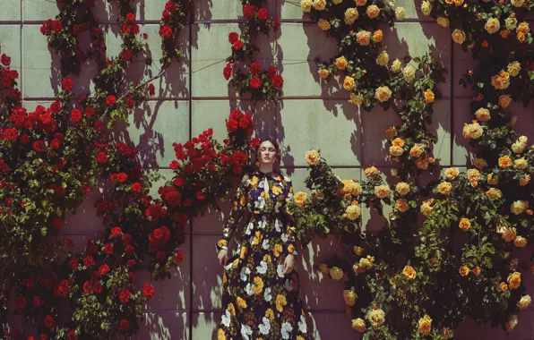 Картинка девушка, цветы, стена, платье