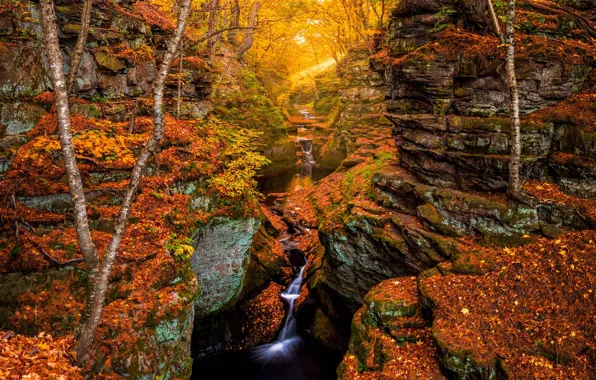 Картинка осень, лес, листья, деревья, река, ручей, скалы