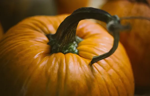 Картинка тыква, halloween, pumpkins