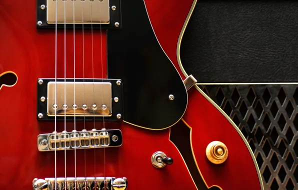 Картинка макро, струны, электрогитара, Gibson 335