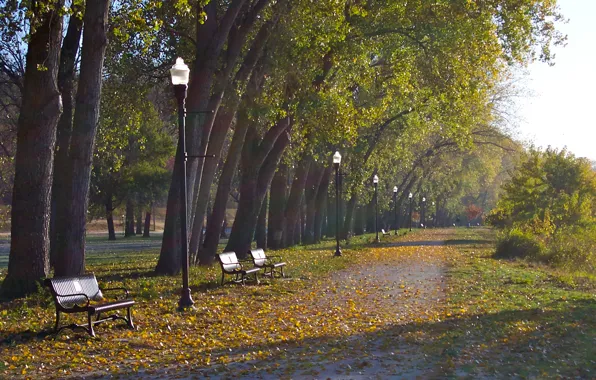 Картинка осень, листья, деревья, листва, фонари, Парк, скамейки