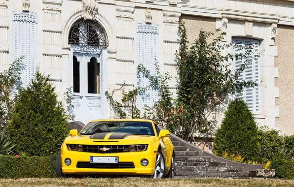 Картинка Chevrolet, Camaro, Yellow