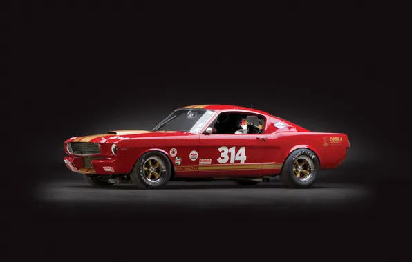Картинка shelby, ford mustang, race car, gt350h