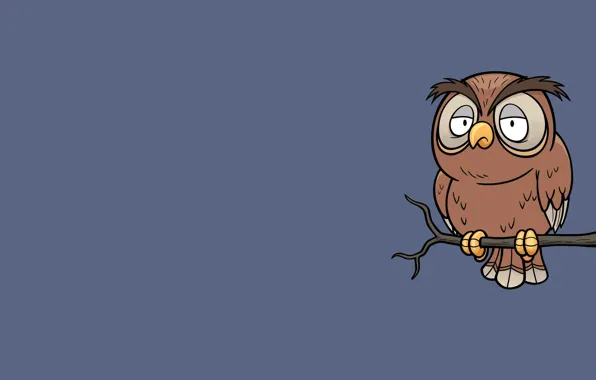 Картинка сова, птица, минимализм, ветка, owl