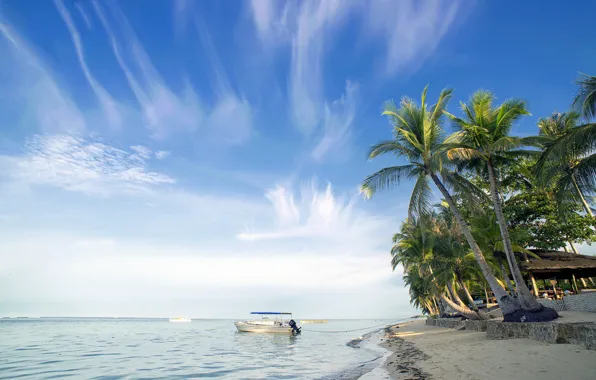 Картинка пляж, пальмы, океан, лодки