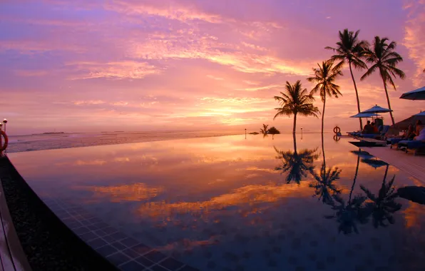Картинка пальмы, океан, вечер, бассейн, Maldives