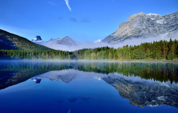 Картинка лес, природа, озеро, отражение, Канада, Banff National Park