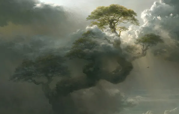 Картинка облака, дерево, высота, арт, гигантское