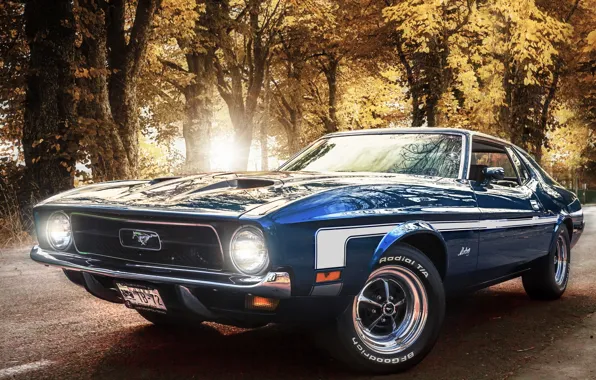 Картинка Mustang, Ford, Синий, Форд, 1971, Мустанг, Mach 1, Muscle Car, Передок, Мускул Кар