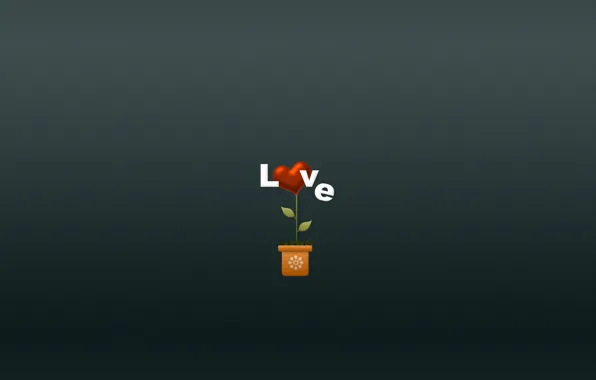 Картинка цветок, любовь, цветы, сердце, минимализм, love, сердечко, горшочек, растение ваза