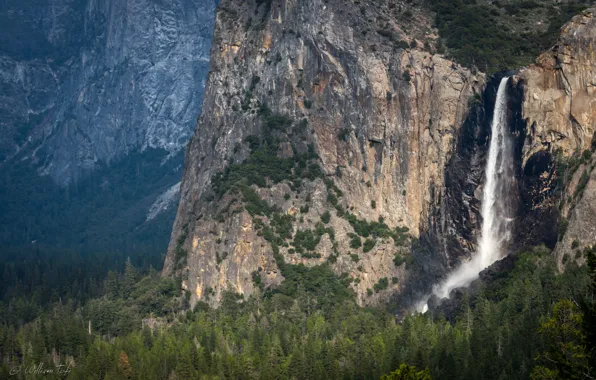 Картинка лес, горы, сша, Yosemite, Национальный парк Йосемити, Bridalveil Falls