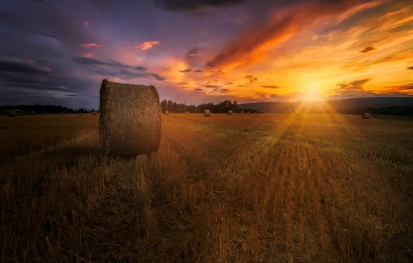 Картинка поле, лето, закат, сено