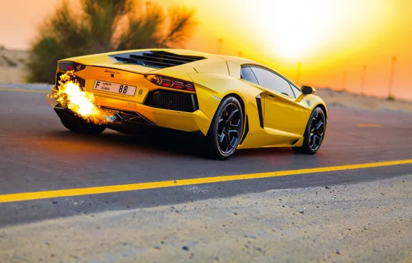 Картинка Дорога, Желтый, Lamborghini, Ламборджини, Dubai, Yellow, LP700-4, Aventador, Авентадор