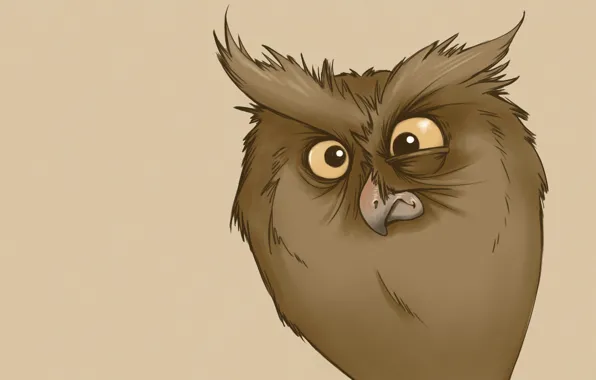 Картинка сова, минимализм, owl, смешной взгляд