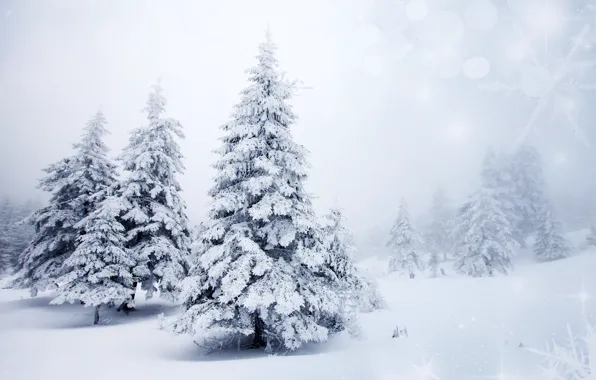 Картинка зима, снег, деревья, пейзаж, снежинки, природа, фон, елки, ели, ёлки, боке