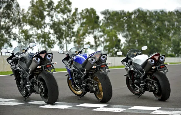 Картинка белый, синий, чёрный, Три Yamaha YZF-R1