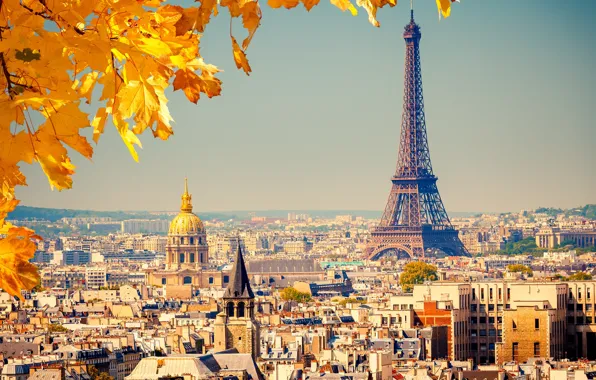 Картинка осень, листья, город, фон, Франция, Париж, вид, здания, дома, желтые, крыши, панорама, Эйфелева башня, Paris, …