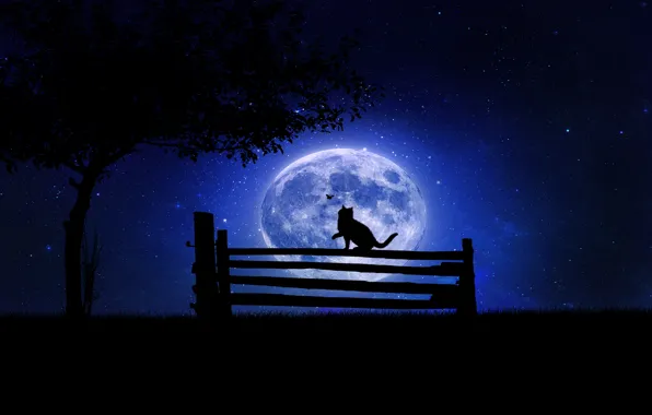 Картинка кот, скамейка, ночь, дерево, луна